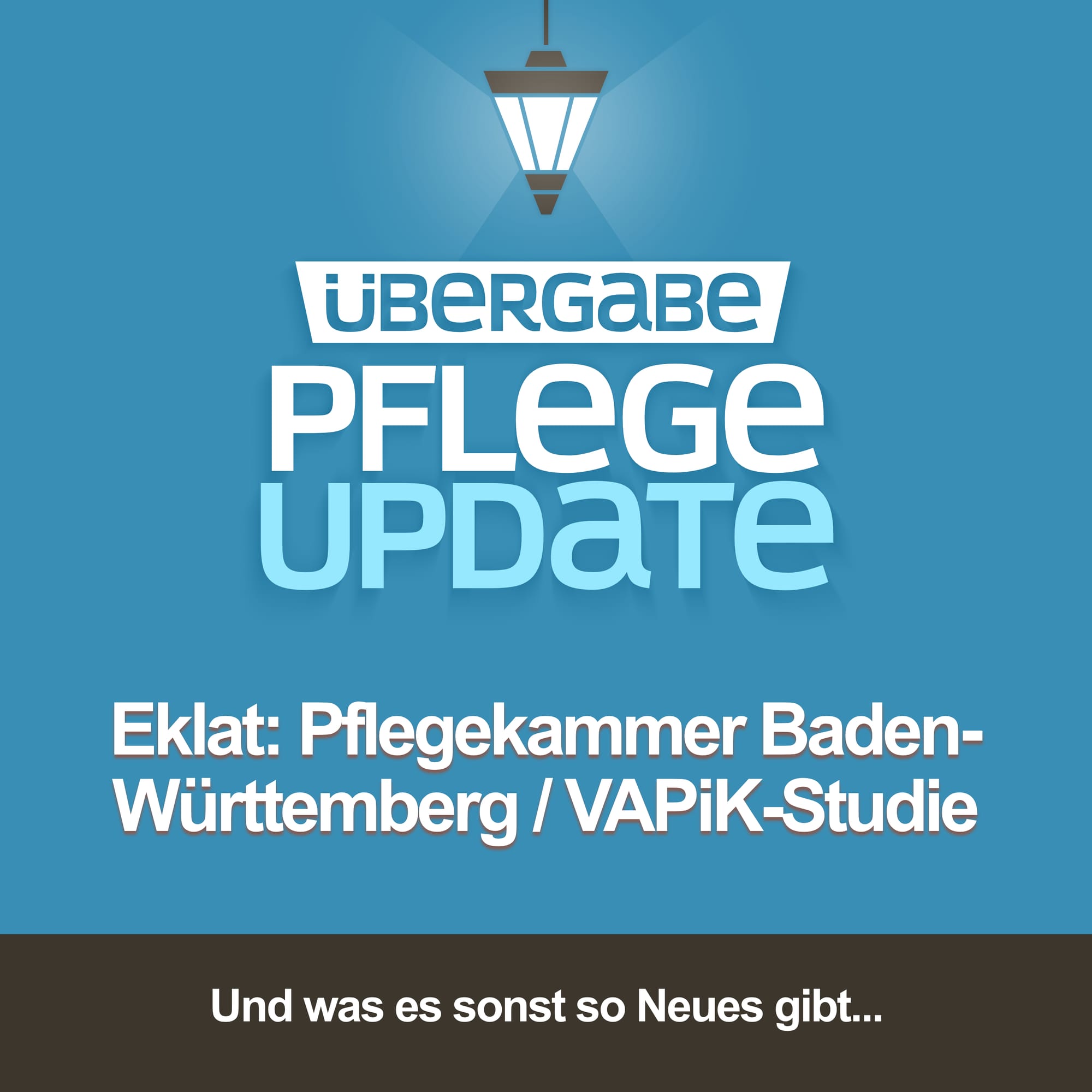 Eklat: Pflegekammer Baden-Württemberg / VAPiK-Studie