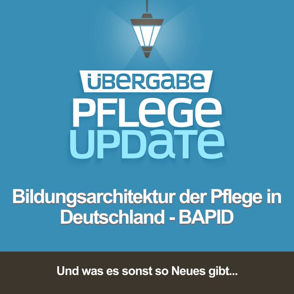 Bildungsarchitektur der Pflege in Deutschland - BAPID